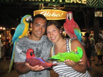 jasonlagmay profile photo