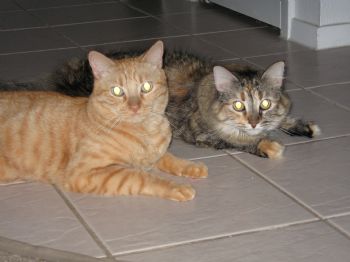 jenfarmer profile photo