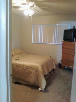 sunflower25 profile photo