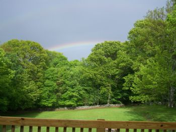 lopilee profile photo