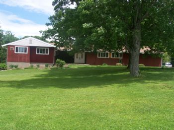 lopilee profile photo