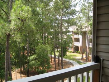 Aces_Wild profile photo