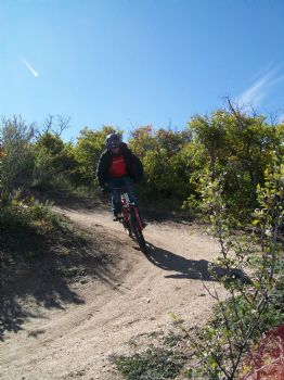 Ddzanman profile photo