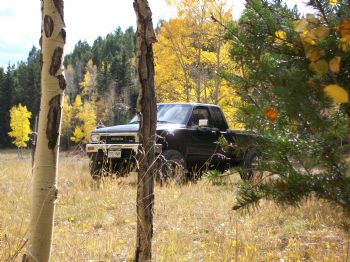 Ddzanman profile photo