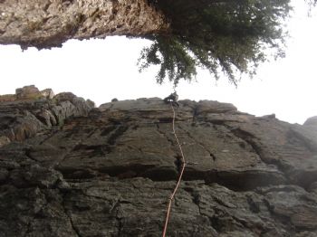 Ddzanman profile photo