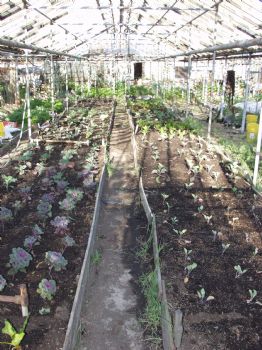 urbanfarm profile photo