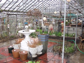 urbanfarm profile photo