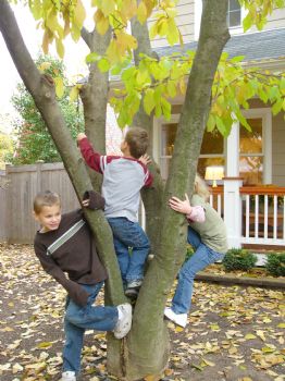 mtnwhtn profile photo