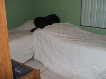 pippi023 profile photo