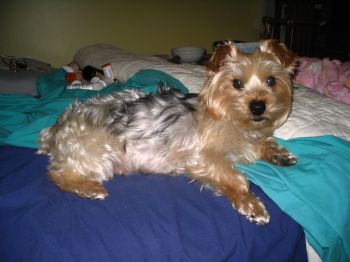 doucdbzz profile photo