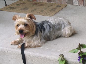 doucdbzz profile photo