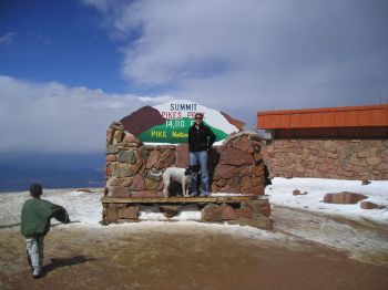 tjcoelho profile photo