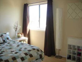 apanner profile photo