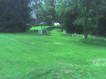 98mpower profile photo