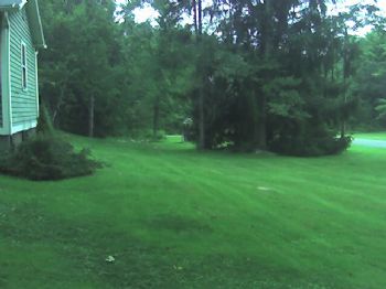 98mpower profile photo