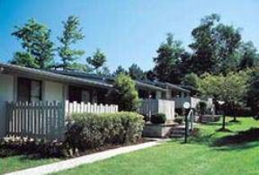 Dennis7 profile photo