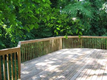 heldar profile photo