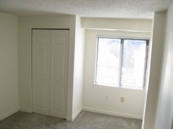 subvercity profile photo