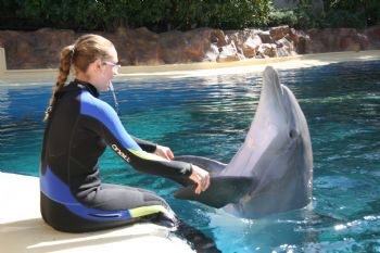 medlmnscus profile photo