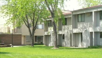 madushag profile photo