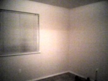 paula25 profile photo