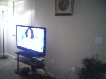 paula25 profile photo