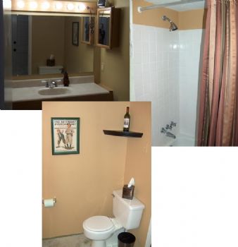 chrissegal profile photo