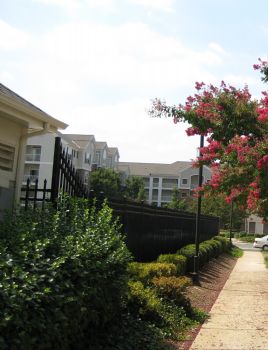 dr_goli profile photo