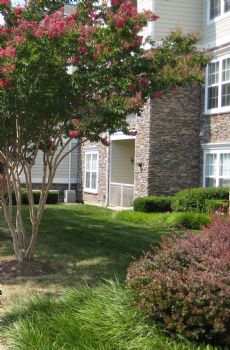 dr_goli profile photo