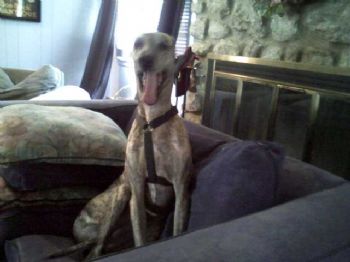 OUSweetheart profile photo