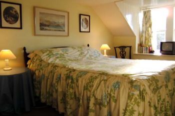 torres4real profile photo