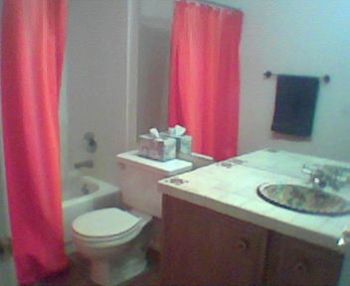 Gina444 profile photo