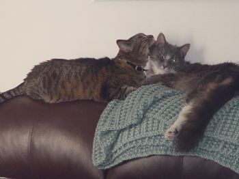 Gina444 profile photo