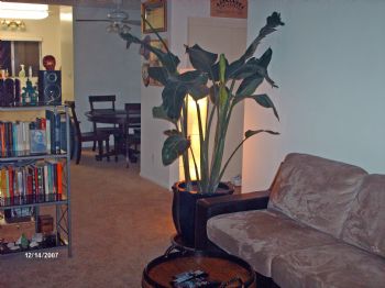 msmajors67 profile photo