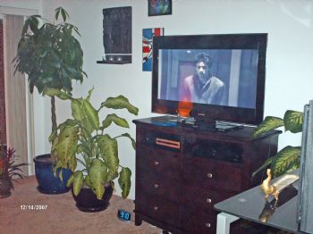 msmajors67 profile photo