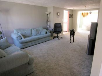 petey36 profile photo