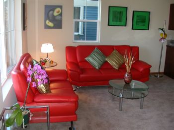 yimingchen profile photo