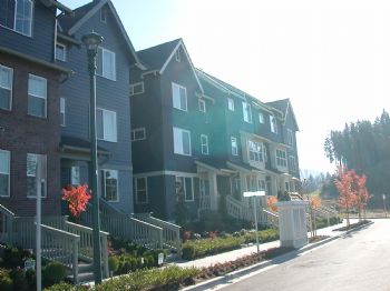 yimingchen profile photo