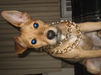 MIGUEL TOLA profile photo