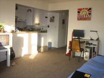 MIGUEL TOLA profile photo