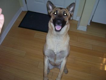 vwrocket profile photo