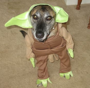 Cteresa profile photo