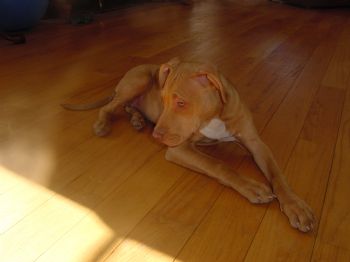 JCRAND profile photo