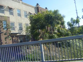 ju5tr3lax profile photo