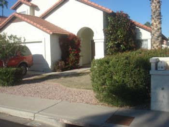 danimal8541 profile photo