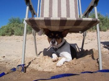 Miss.K profile photo