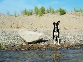 Miss.K profile photo