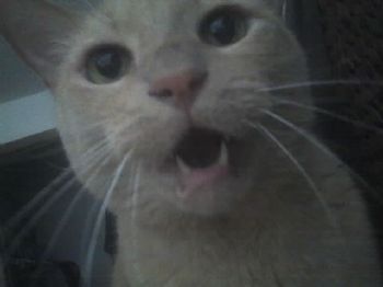 electronboy8 profile photo