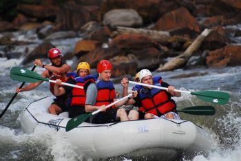 drew2256 profile photo