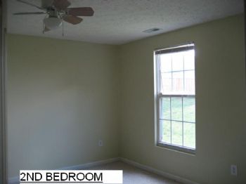 kimluongb profile photo